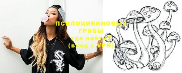 шишки Алексеевка
