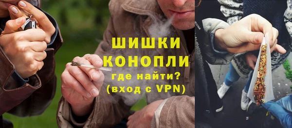 шишки Алексеевка