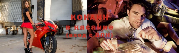 прущие грибы Алексин